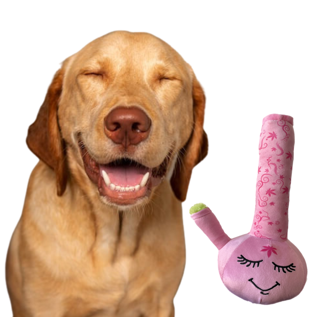 PAW:20 - Harmony Bong 420 Dog Toy ๐ถ Marijuana, Weed, Cannabis Themed