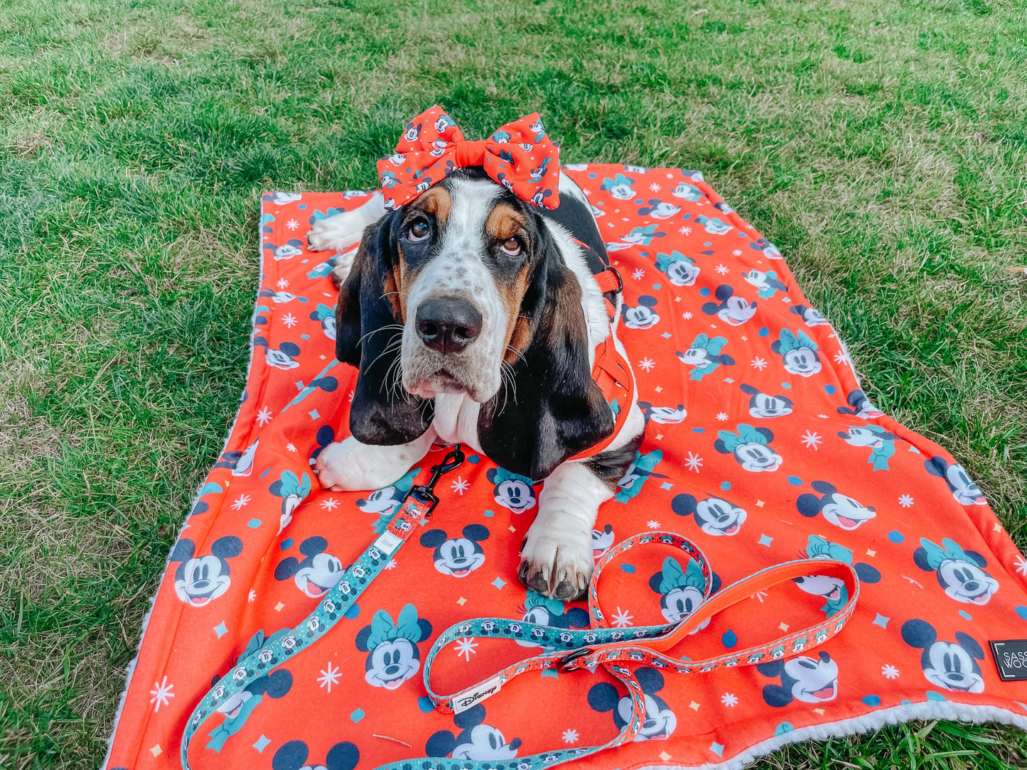 Pet Blanket - Disney Holiday Collection