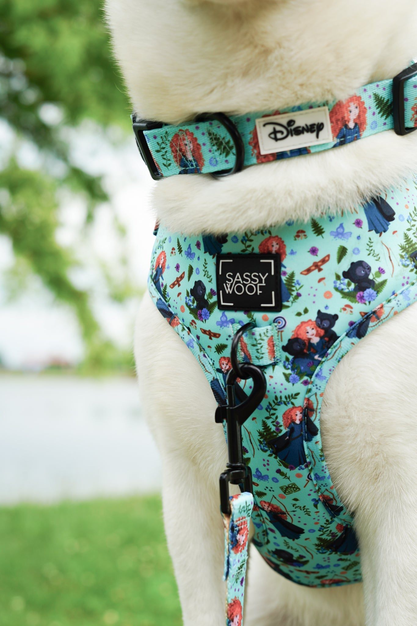 Dog Collar - Disney's Merida