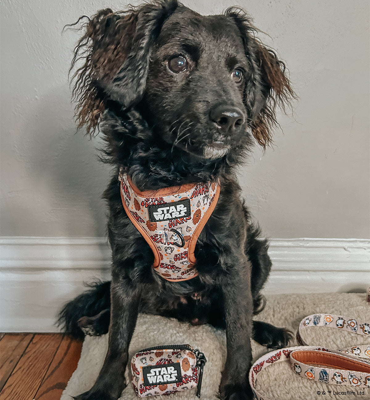 Dog Two Piece Bundle - STAR WARS™ The Rebel Alliance