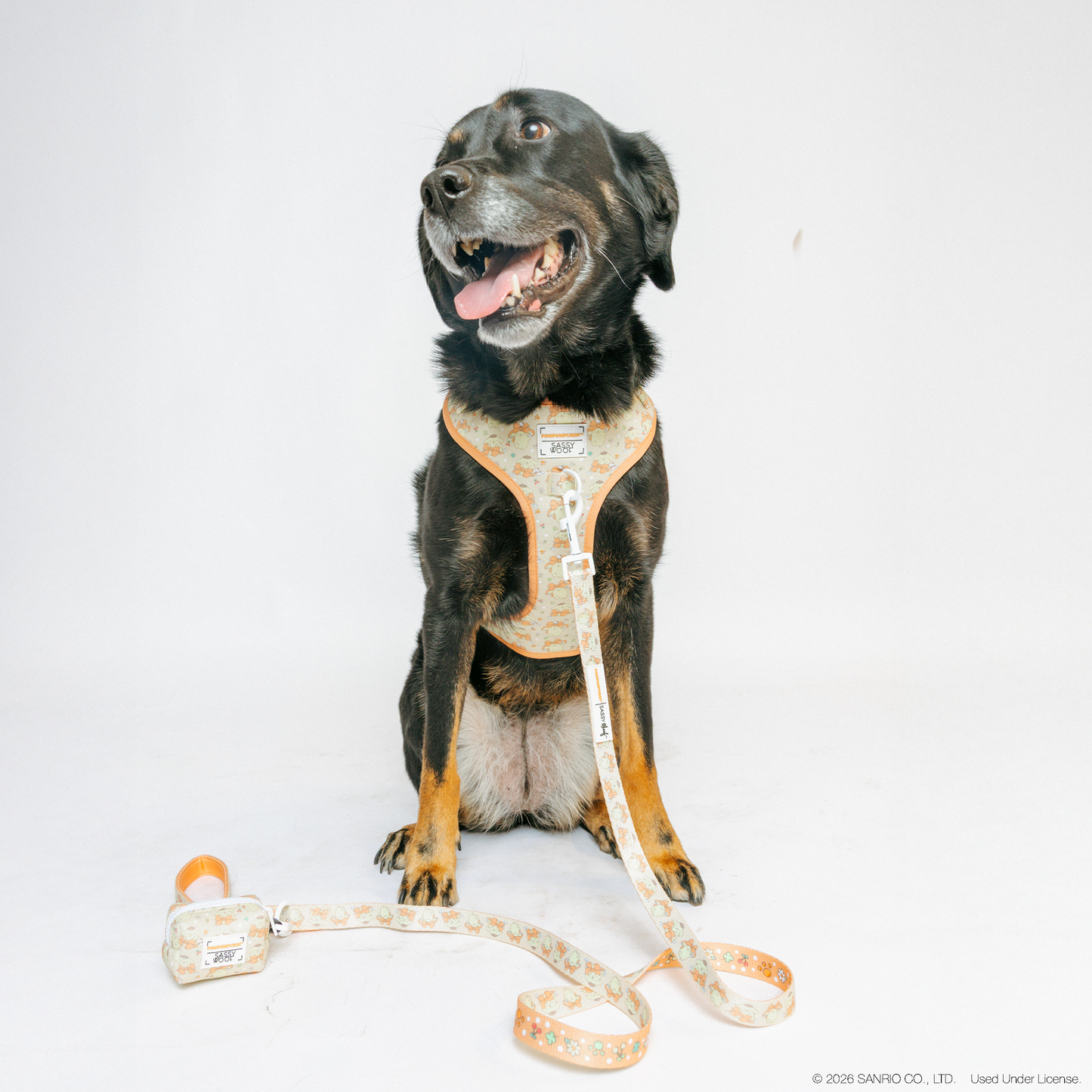 Dog Collar Three Piece Bundle - Pompompurin™