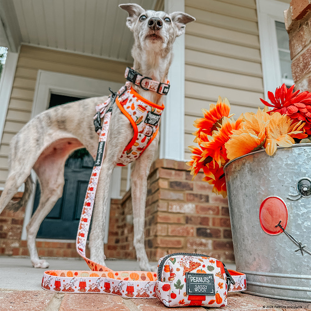 Dog Waste Bag Holder - Peanuts™ Harvest