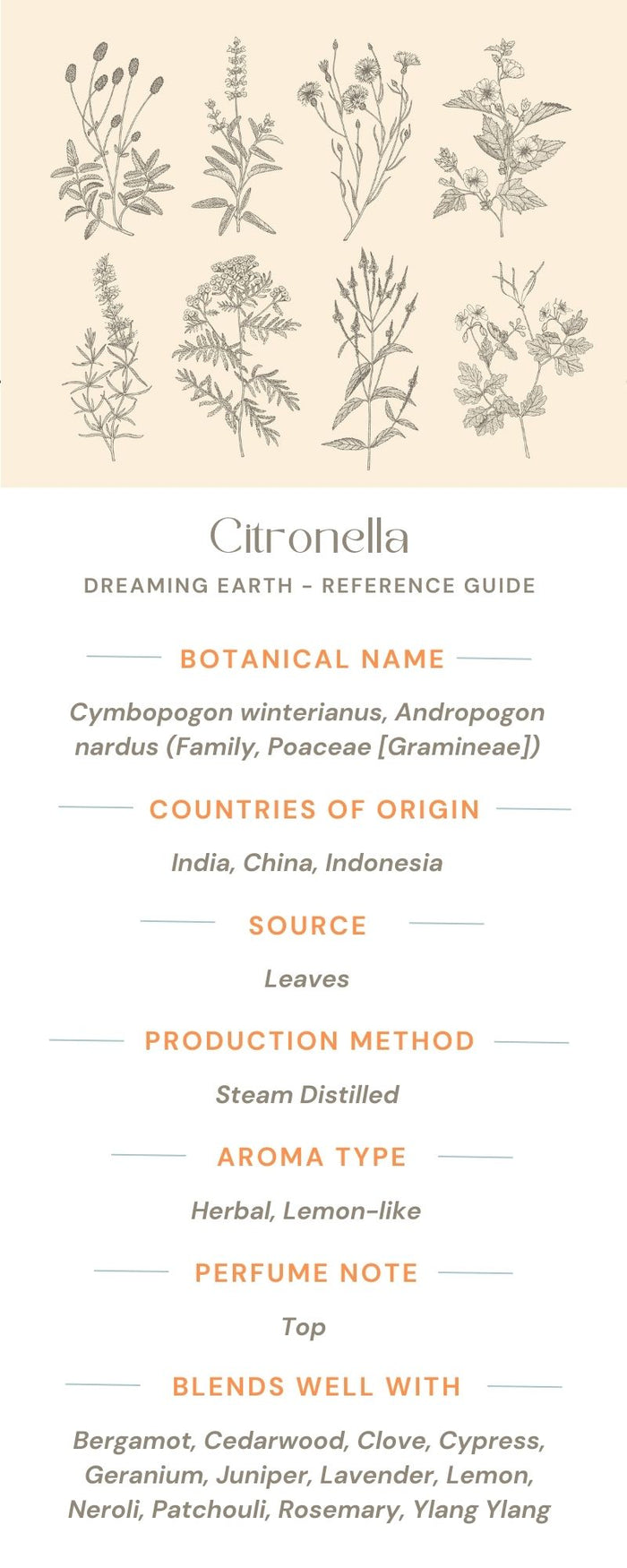 Citronella Organic Essential Oil - Dreaming Earth Inc