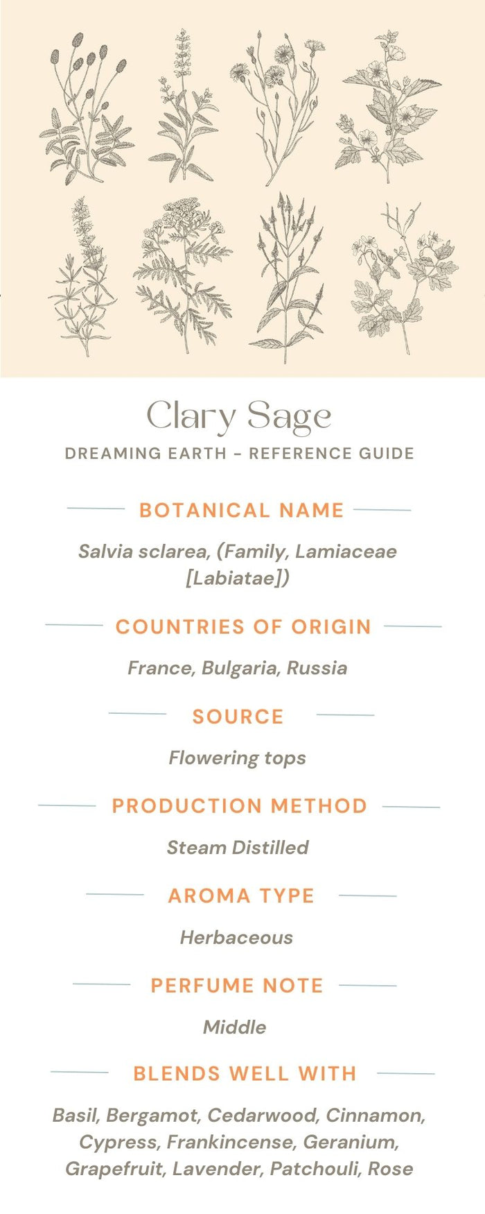 Clary Sage Essential Oil - Dreaming Earth Inc