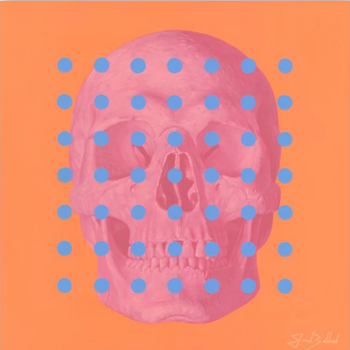 A stylized pink skull centered on a bright orange background, overlaid with a grid of light blue dots.