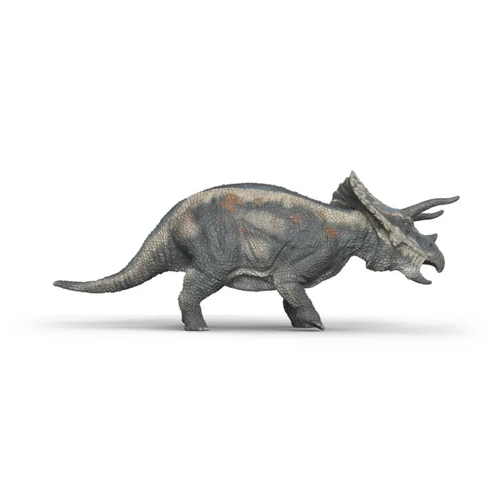 Triceratops