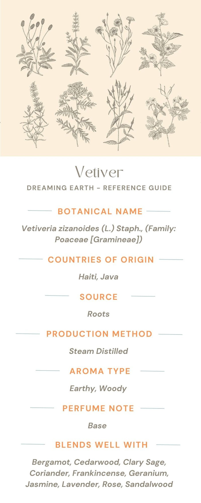 Vetiver Essential Oil - Dreaming Earth Inc