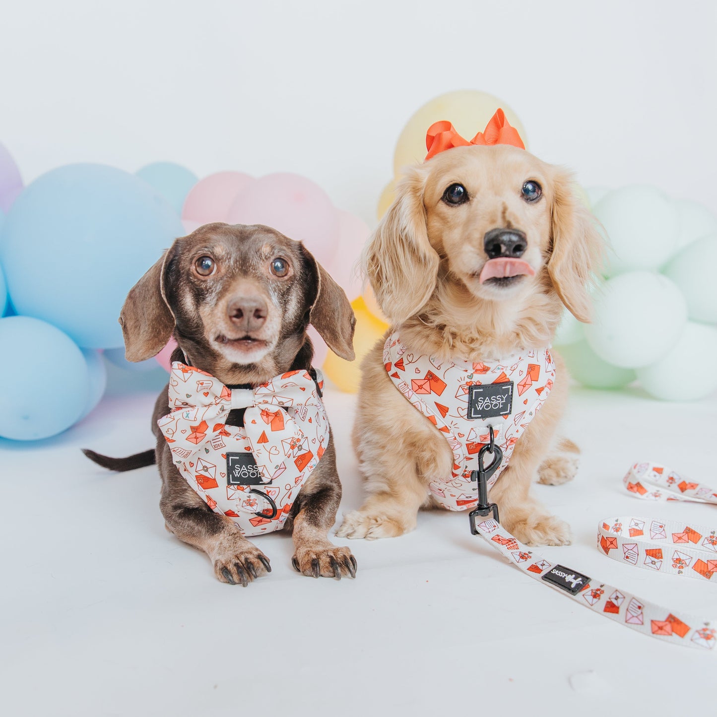 Dog Sailor Bow - P.S. I Woof You