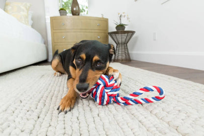 Jax & Bones Knot Rope Dog Toy Red, White and Blue Small 3"