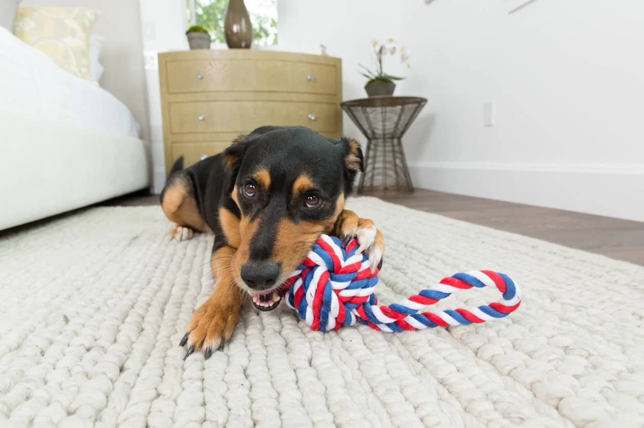 Jax & Bones Knot Rope Dog Toy Red, White and Blue Large 6"