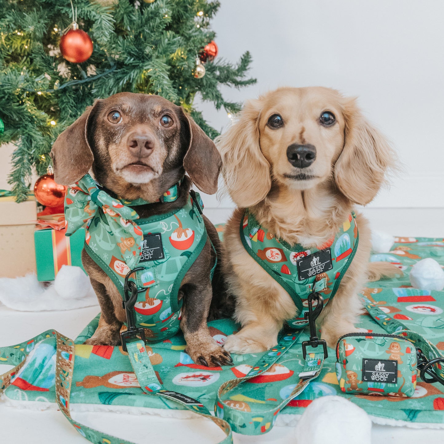 Dog Waste Bag Holder - Elf™
