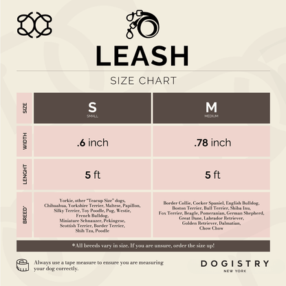 Dogistry™ - City Dog Leash - Blush
