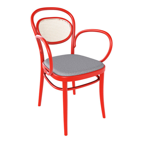 Armchair 20 - Cane Back & Seat Upholstered - Beech Pigment Frame