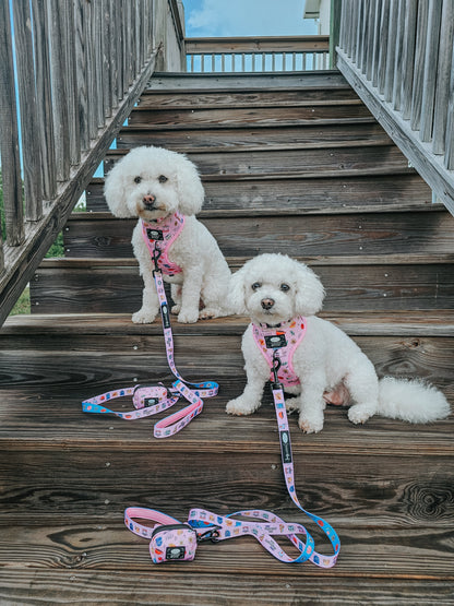 Dog Leash - Gilmore Girls™