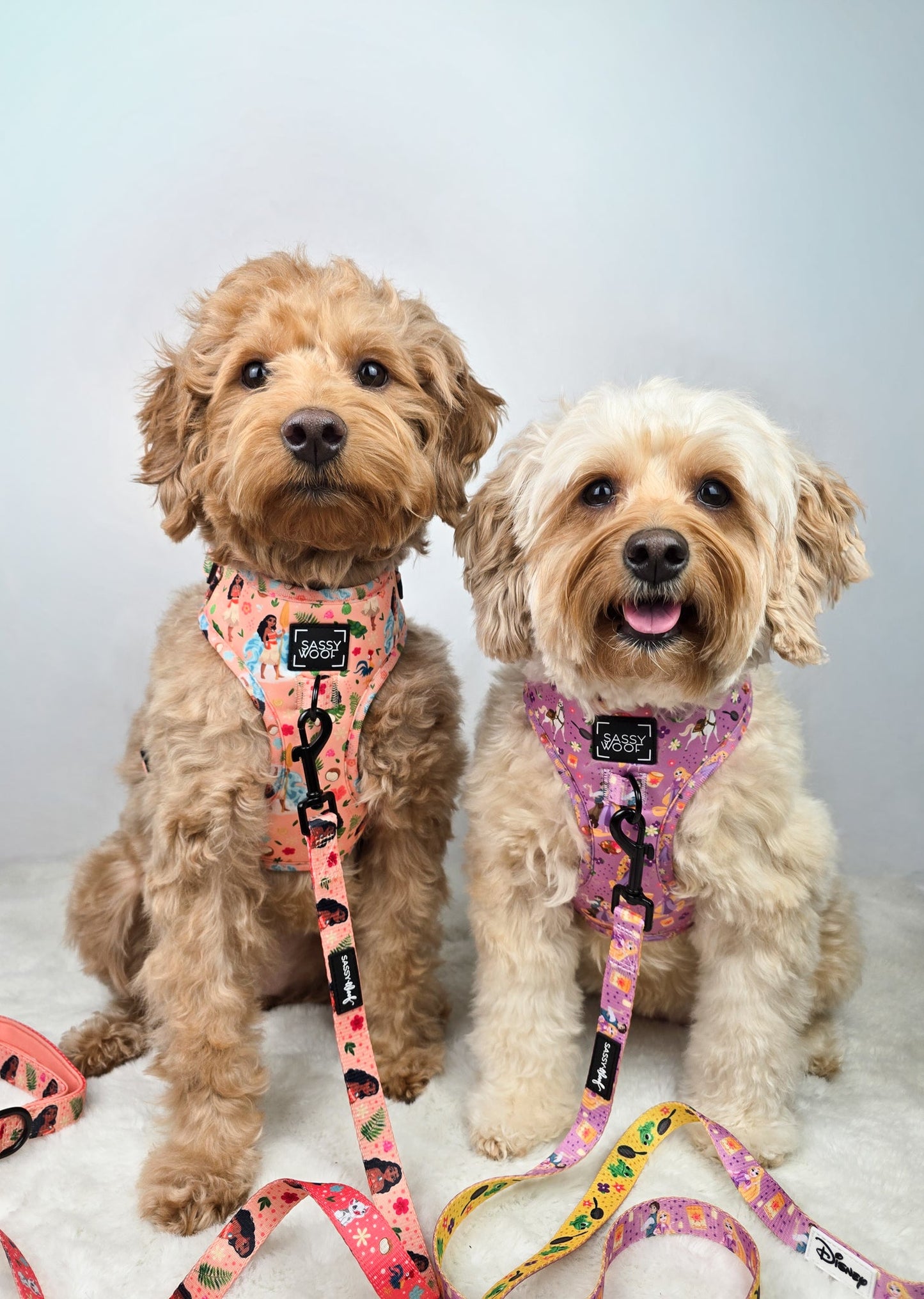 Dog Two Piece Bundle - Disney's Rapunzel