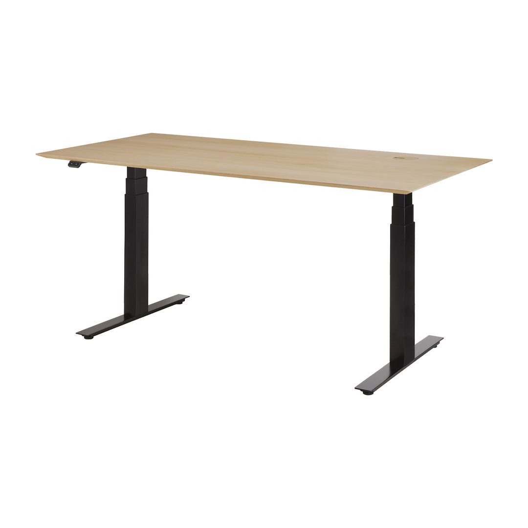 Bok Adjustable Desk