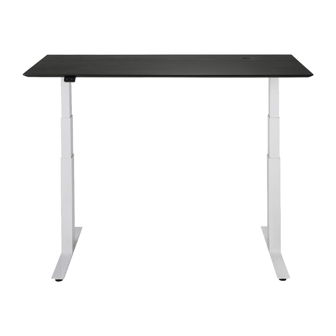 Bok Adjustable Desk
