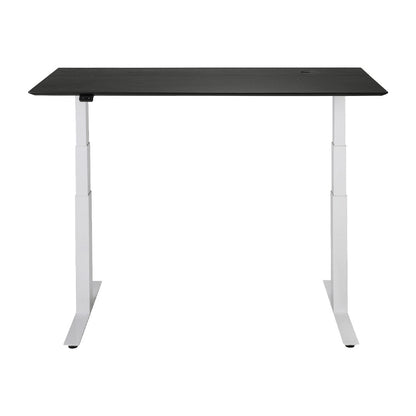 Bok Adjustable Desk