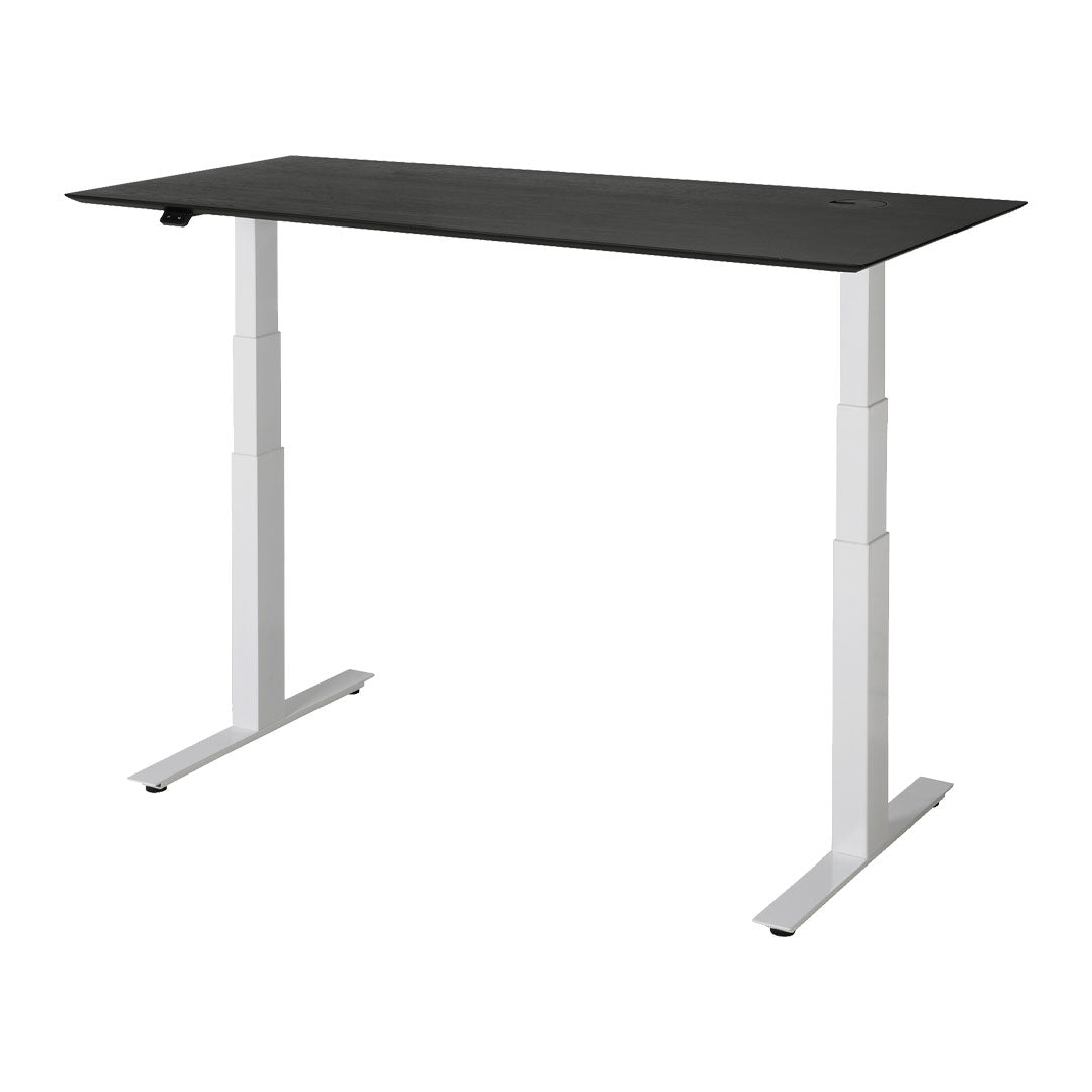 Bok Adjustable Desk