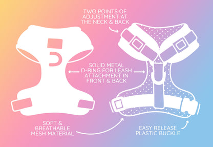Dog Two Piece Bundle - Disney's Aurora