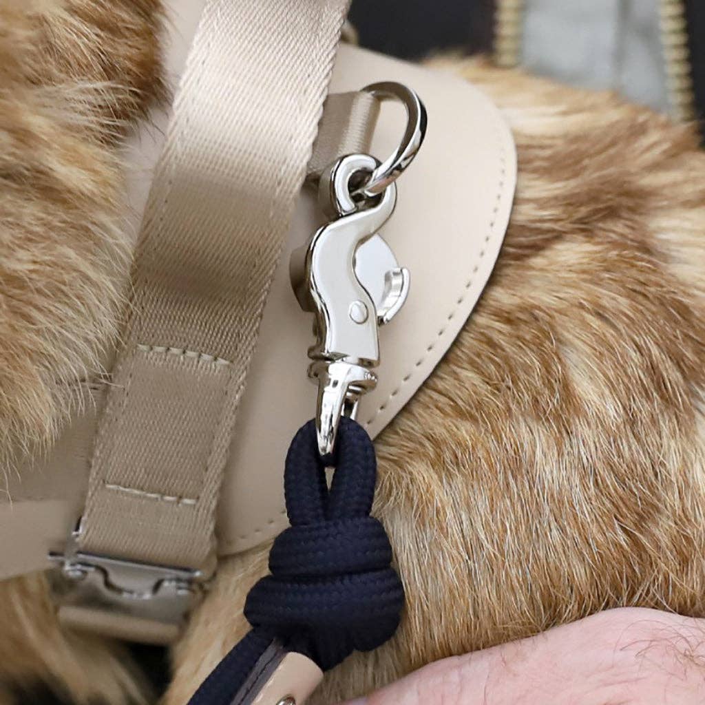 Hozi - [NEW] Essential Leash - Beige