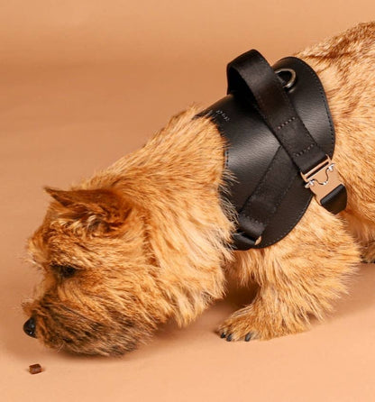 Hozi - Saddle Harness - Black