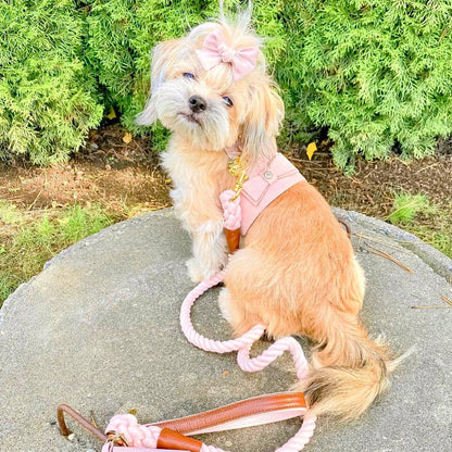 PoisePup - HARNESS - BELLA ROSE
