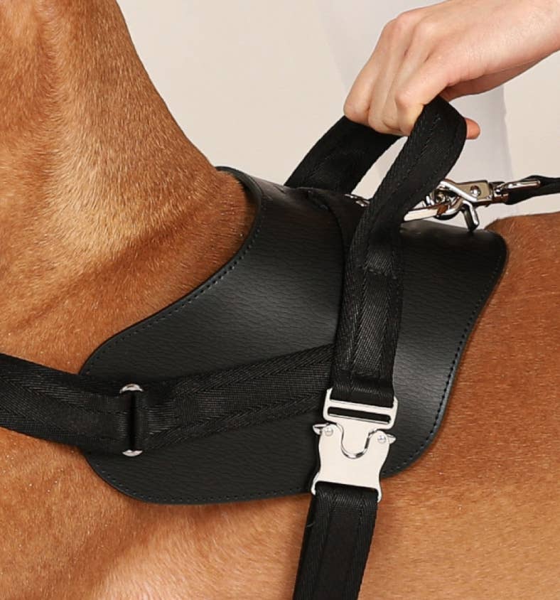 Hozi - Saddle Harness - Black