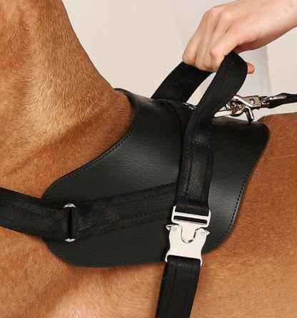 Hozi - Saddle Harness - Black