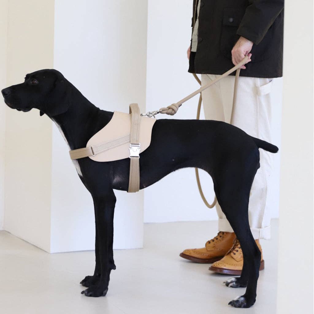 Hozi - [NEW] Essential Leash - Beige