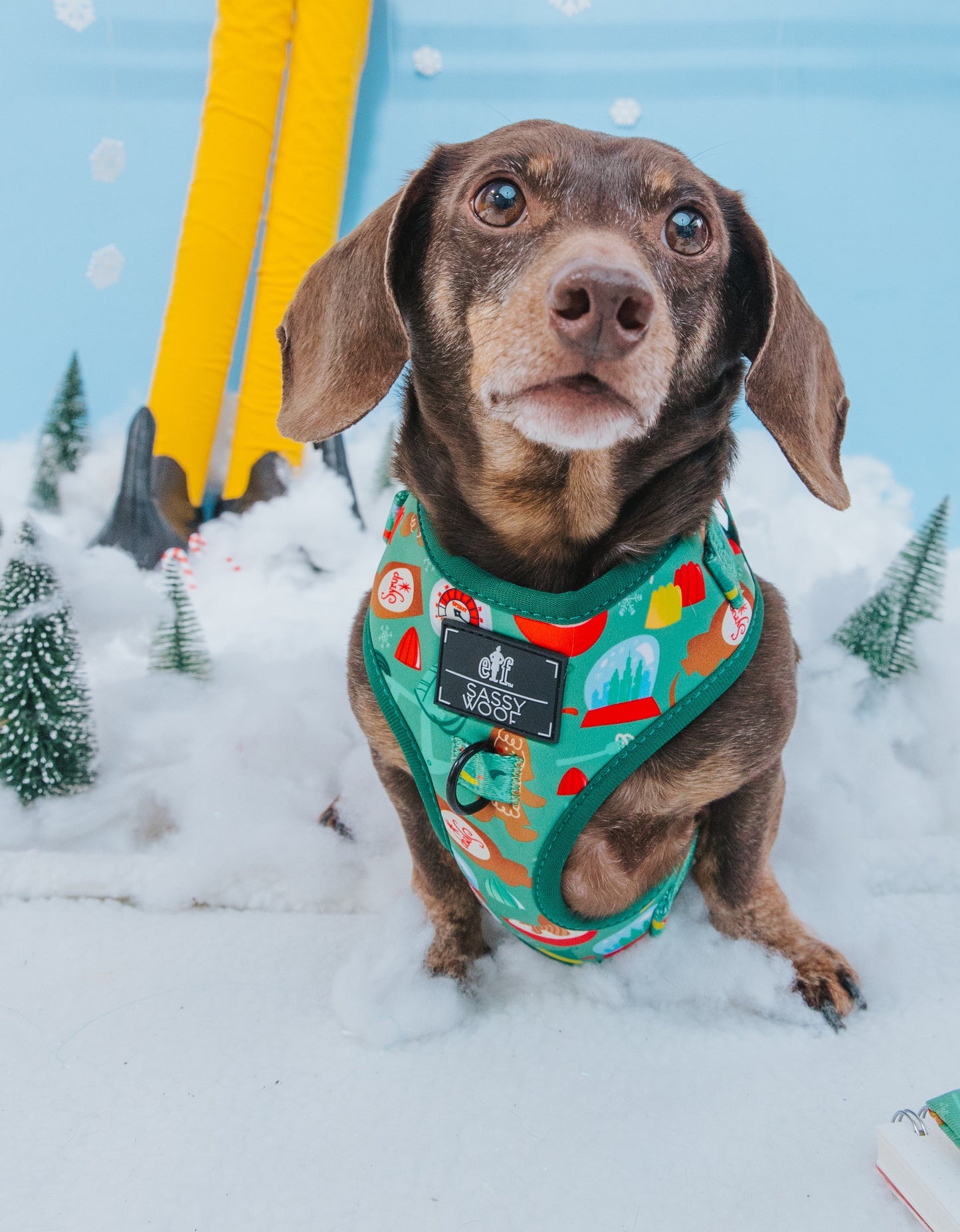 Dog Four Piece Bundle - Elf™