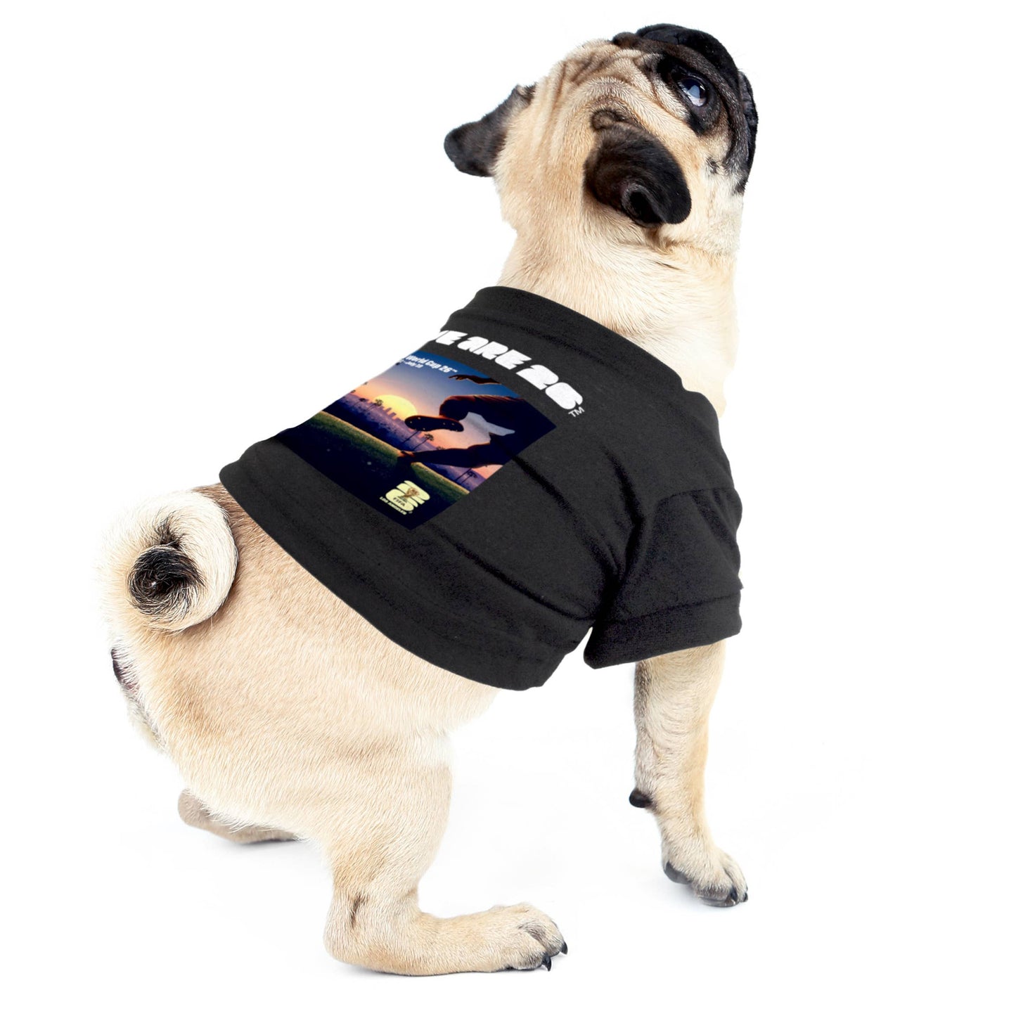 Little Earth Productions - 2026 FIFA World Cup Host City Pet T-Shirt