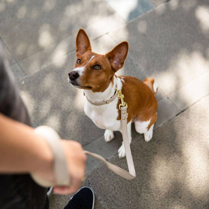 Nina Woof - Leash 4ft - Vegan Leather - Cupertino