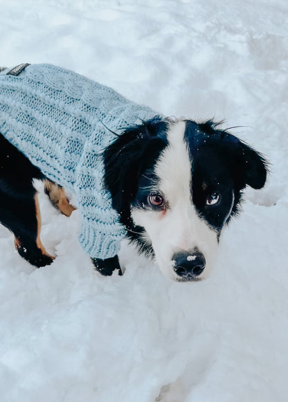 Pet Cable Knit Sweater - Light Blue