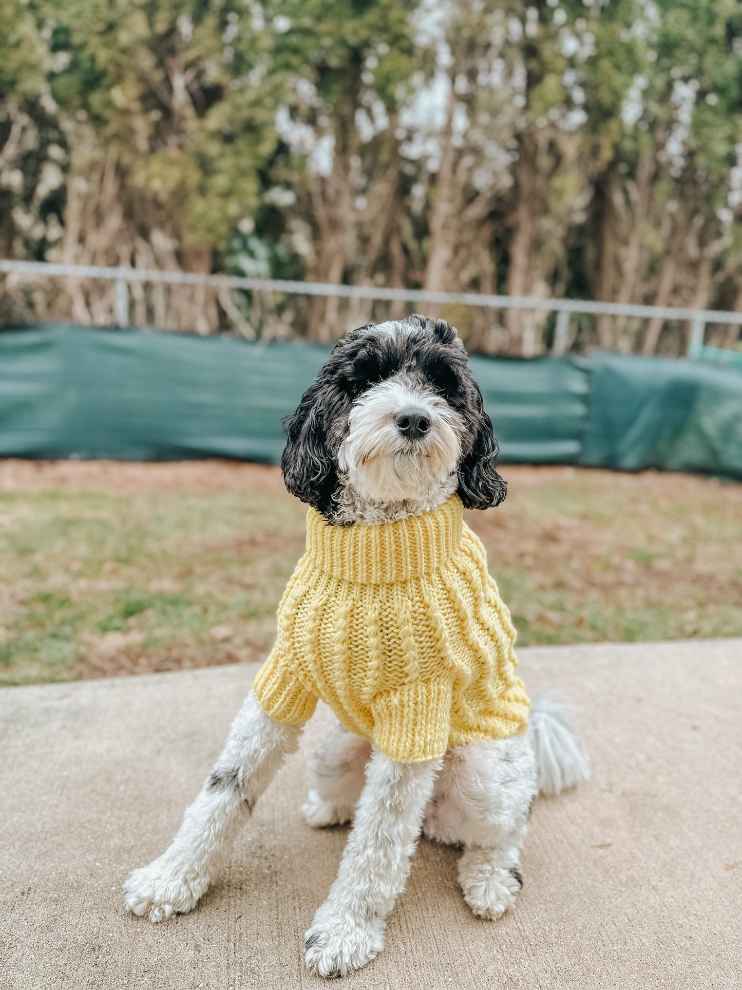 Pet Cable Knit Sweater - Yellow