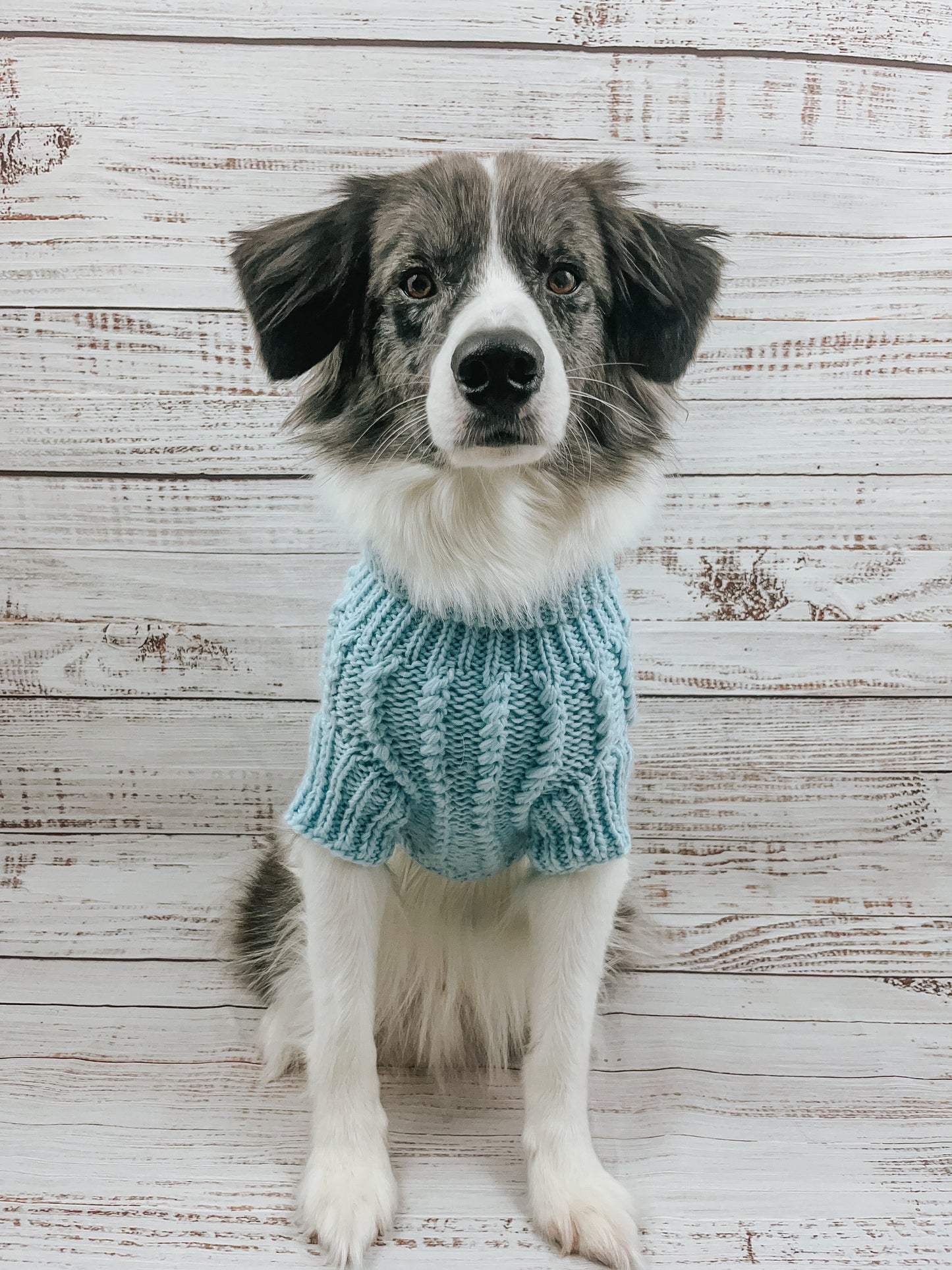 Pet Cable Knit Sweater - Light Blue