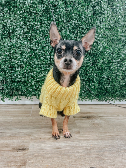 Pet Cable Knit Sweater - Yellow