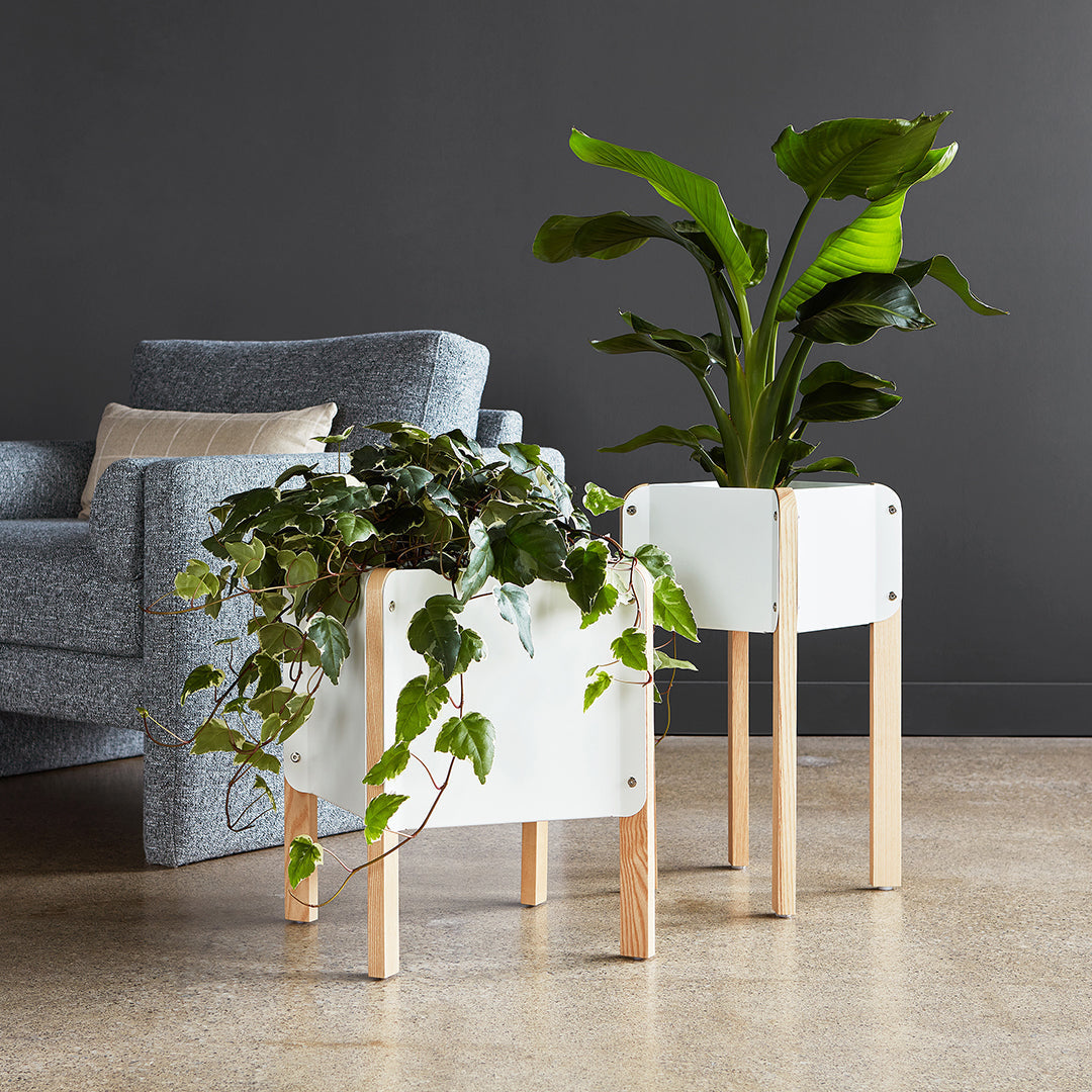 Atrium Planter