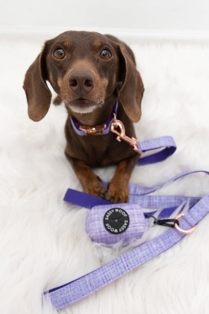 Dog Four Piece Bundle - Aurora