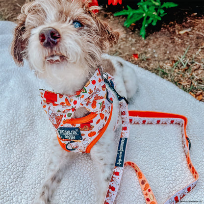 Dog Bowtie - Peanuts™ Harvest