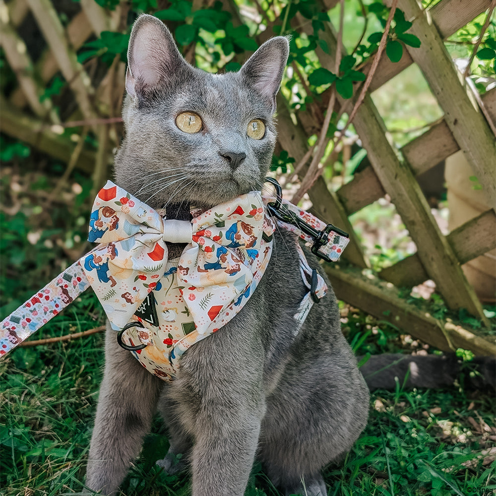 Harness Three Piece Bundle - Disney's Belle