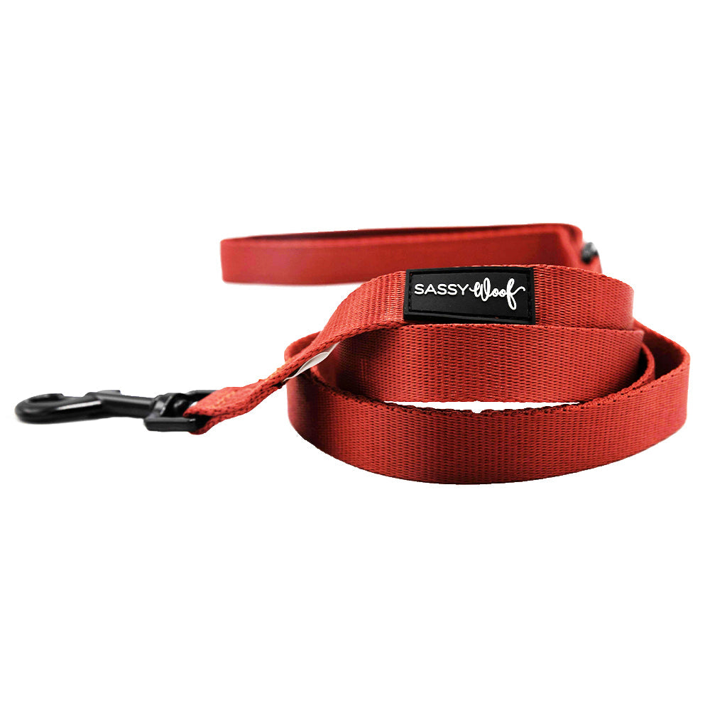 Dog Two Piece Bundle - Burgundy