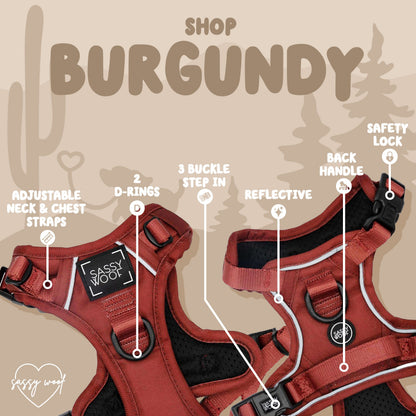 Dog Four Piece Bundle - Burgundy
