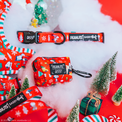 Dog Collar Three Piece Bundle - Peanuts™ Beagle Bells