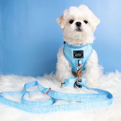 Dog Four Piece Bundle - Blumond