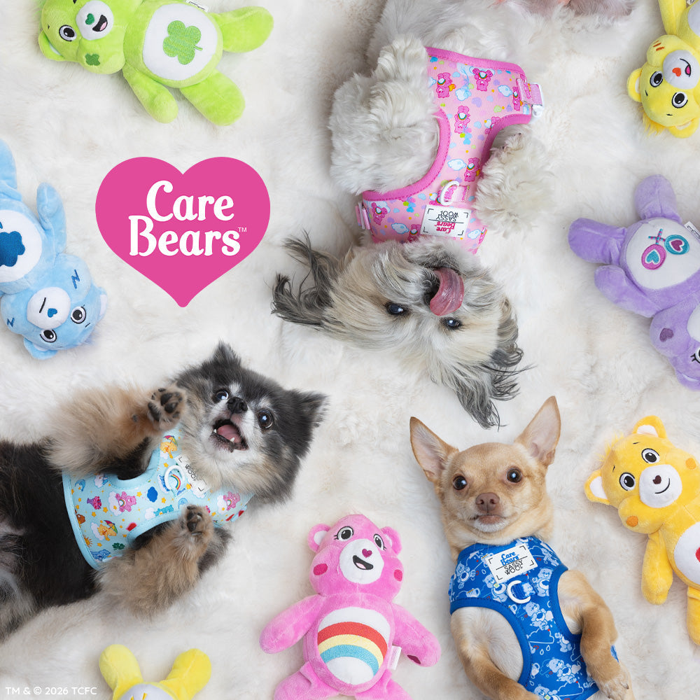 Dog Collar Three Piece Bundle - Care Bears™ Cheer Bear