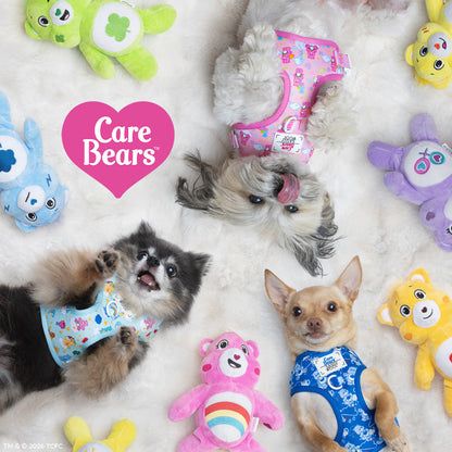 Dog Collar Three Piece Bundle - Care Bears™ Cheer Bear