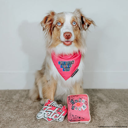 Dog Toy - Mean Girls™