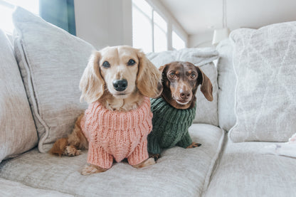 Pet Cable Knit Sweater - Pink