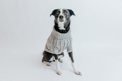 Pet Cable Knit Sweater - Gray
